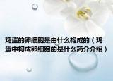 鸡蛋的卵细胞是由什么构成的（鸡蛋中构成卵细胞的是什么简介介绍）