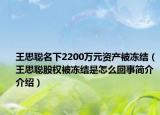 王思聪名下2200万元资产被冻结（王思聪股权被冻结是怎么回事简介介绍）