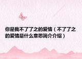 你是我不了了之的爱情（不了了之的爱情是什么意思简介介绍）
