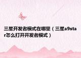 三星开发者模式在哪里（三星a9star怎么打开开发者模式）