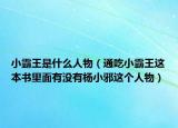 小霸王是什么人物（通吃小霸王这本书里面有没有杨小邪这个人物）