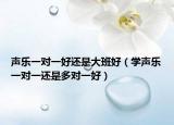 声乐一对一好还是大班好（学声乐一对一还是多对一好）