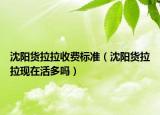 沈阳货拉拉收费标准（沈阳货拉拉现在活多吗）