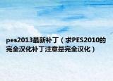 pes2013最新补丁（求PES2010的完全汉化补丁注意是完全汉化）