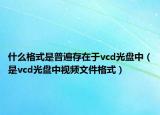 什么格式是普遍存在于vcd光盘中（是vcd光盘中视频文件格式）