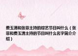 费玉清和张菲主持的综艺节目叫什么（张菲和费玉清主持的节目叫什么名字简介介绍）