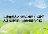 长沙大型人才市场在哪里（长沙的人才市场有几个都在哪简介介绍）