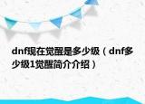dnf现在觉醒是多少级（dnf多少级1觉醒简介介绍）