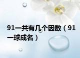 91一共有几个因数（91一球成名）