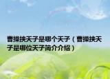 曹操挟天子是哪个天子（曹操挟天子是哪位天子简介介绍）