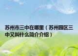苏州市三中在哪里（苏州园区三中又叫什么简介介绍）