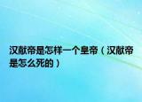 汉献帝是怎样一个皇帝（汉献帝是怎么死的）