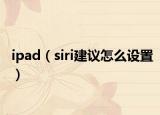 ipad（siri建议怎么设置）