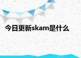今日更新skam是什么