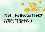 .Net（Reflector打开之后得到的是什么）