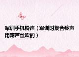 军训手机铃声（军训时集合铃声用葫芦丝吹的）