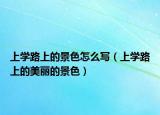 上学路上的景色怎么写（上学路上的美丽的景色）