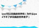 ipad可以玩我的世界吗（为什么ipad下不了多玩我的世界盒子）