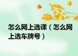 怎么网上选课（怎么网上选车牌号）