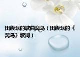 田馥甄的歌曲离岛（田馥甄的《离岛》歌词）