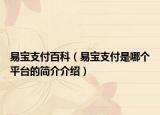 易宝支付百科（易宝支付是哪个平台的简介介绍）