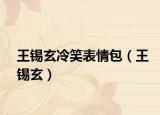王锡玄冷笑表情包（王锡玄）