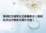 莱州红犬成年公犬体重多少（莱州红犬公犬有多大简介介绍）