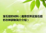 宝石猎豹材料（魔兽世界蓝宝石猎豹怎样获取简介介绍）