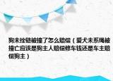 狗未拴链被撞了怎么赔偿（爱犬未系绳被撞亡应该是狗主人赔偿修车钱还是车主赔偿狗主）