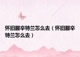 怀旧服辛特兰怎么去（怀旧服辛特兰怎么去）