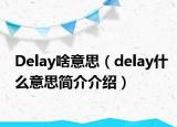 Delay啥意思（delay什么意思简介介绍）
