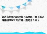 新还珠格格永琪额娘上吊是哪一集（新还珠格格愉妃上吊在哪一集简介介绍）
