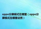 oppo分屏模式在哪里（oppo分屏模式在哪里设置）