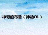 神奇的布鲁（神劫OL）