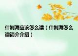 什刹海应该怎么读（什刹海怎么读简介介绍）