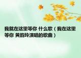 我就在这里等你 什么歌（我在这里等你 黄韵玲演唱的歌曲）
