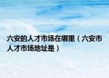 六安的人才市场在哪里（六安市人才市场地址是）