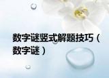 数字谜竖式解题技巧（数字谜）