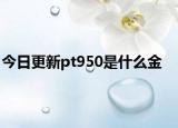 今日更新pt950是什么金