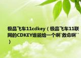 极品飞车11cdkey（极品飞车11联网的CDKEY谁能给一个啊`救命啊``）