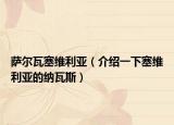 萨尔瓦塞维利亚（介绍一下塞维利亚的纳瓦斯）