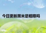 今日更新黑米是粗粮吗