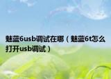 魅蓝6usb调试在哪（魅蓝6t怎么打开usb调试）