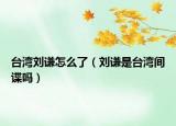 台湾刘谦怎么了（刘谦是台湾间谍吗）