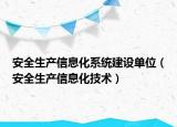 安全生产信息化系统建设单位（安全生产信息化技术）
