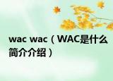 wac wac（WAC是什么简介介绍）