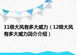 11级大风有多大威力（12级大风有多大威力简介介绍）