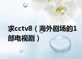 求cctv8（海外剧场的1部电视剧）
