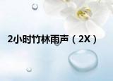 2小时竹林雨声（2X）