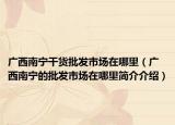 广西南宁干货批发市场在哪里（广西南宁的批发市场在哪里简介介绍）